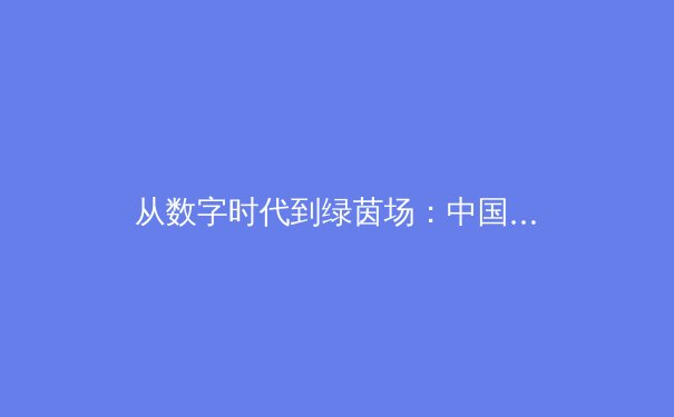 从数字时代到绿茵场：中国体育产业的数字化转型与竞技哲学新思 - 2